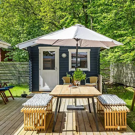 Near Forest And Tatil Evi