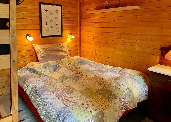 Vakantiehuis Near Forest And *